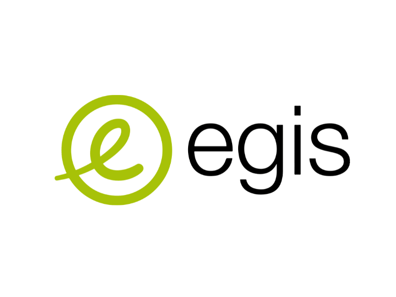 Egis will contribute to the oversight of critical infrastructure works that form the backbone of Riyadh Integrated